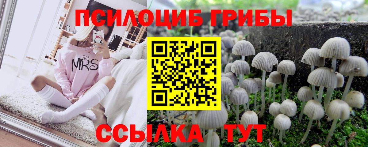 Псилоцибиновые грибы Psilocybine cubensis  Галлюциногенные грибы прущие грибы  Ноябрьск  Вход с VPN 