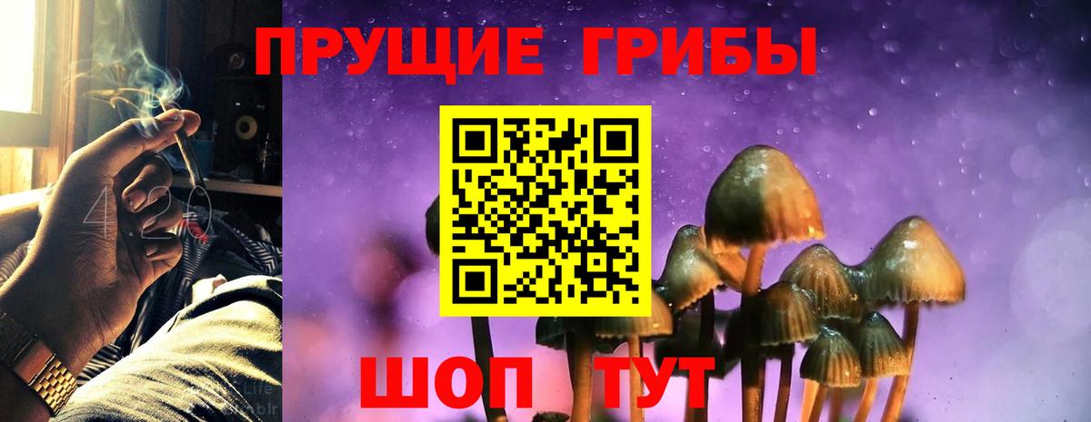 Псилоцибиновые грибы Cubensis Ноябрьск