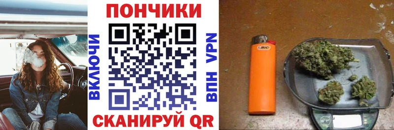 наркота  Ноябрьск  Каннабис сатива 